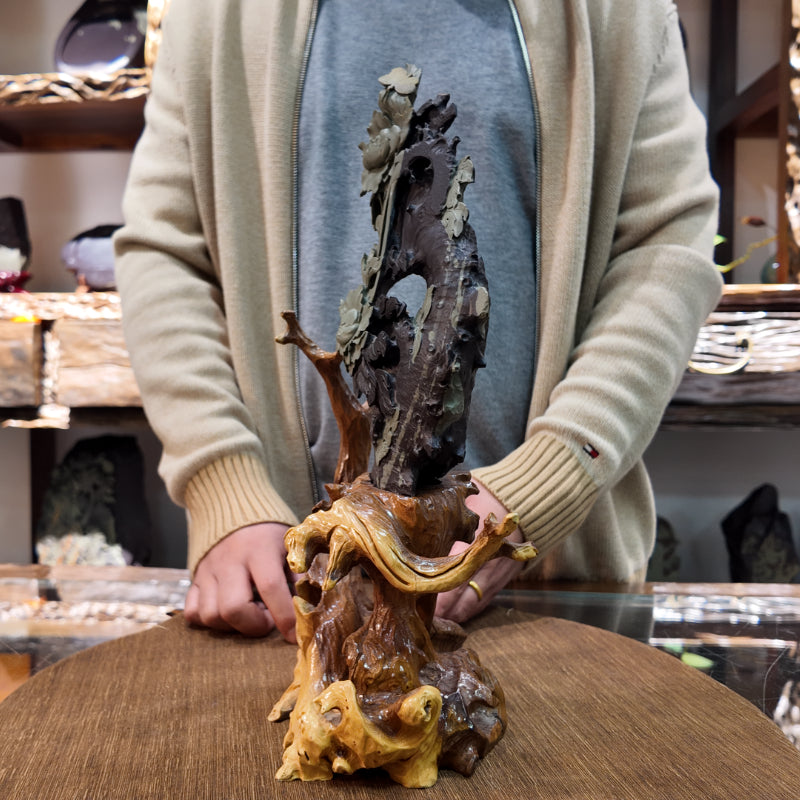 Wealth and Prosperity